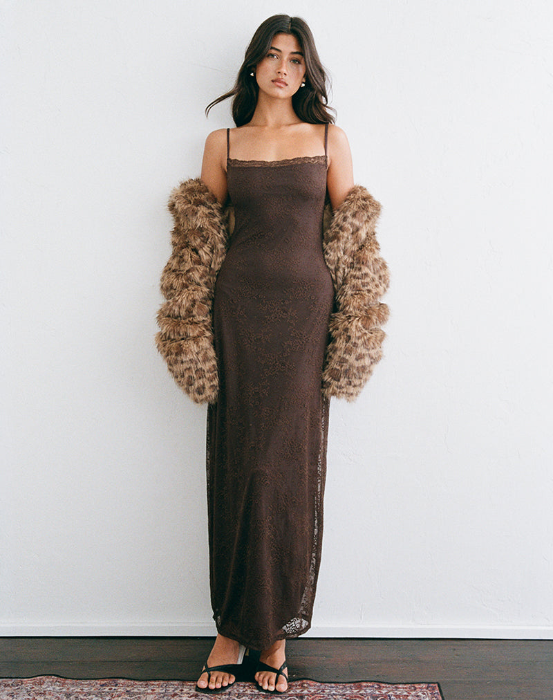 Motel Rocks Madrid Dress in chocolate at Miss Behavin'