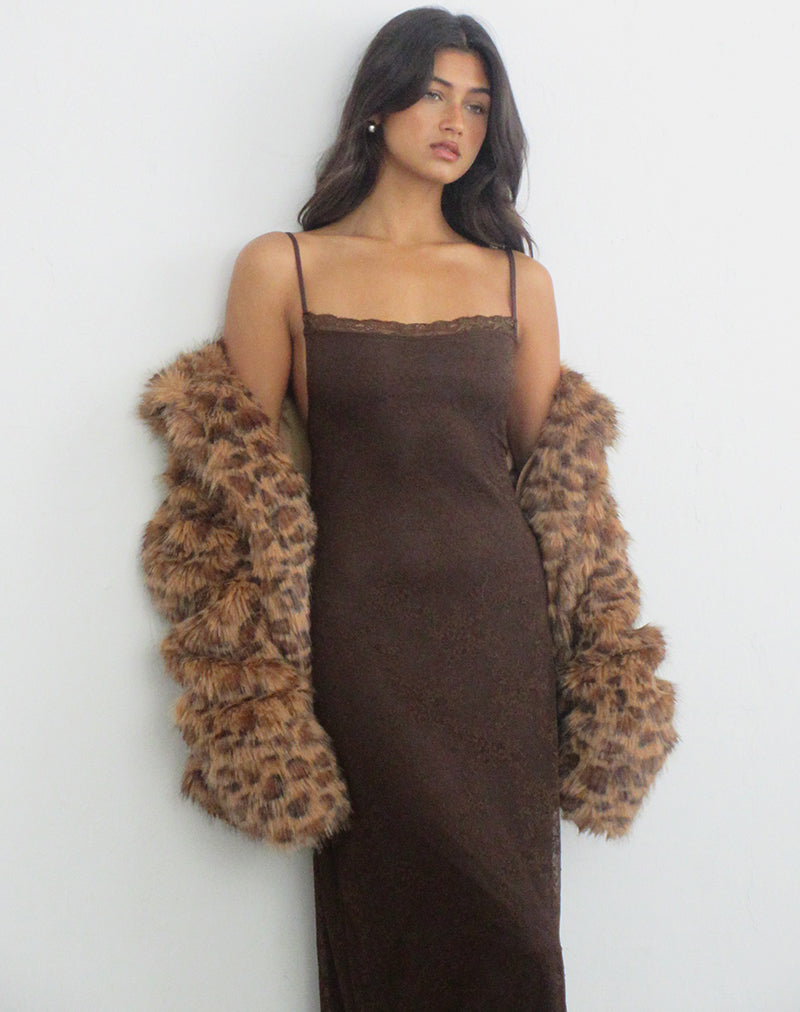 Motel Rocks Madrid Dress in chocolate at Miss Behavin'