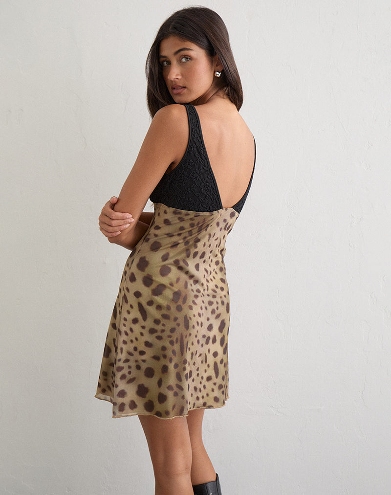 Motel Rocks Bonnie Dress in brown and black at Miss Behavin'